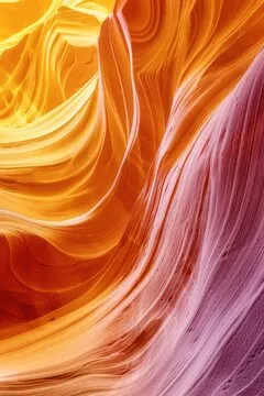 俱乐部与活动示意